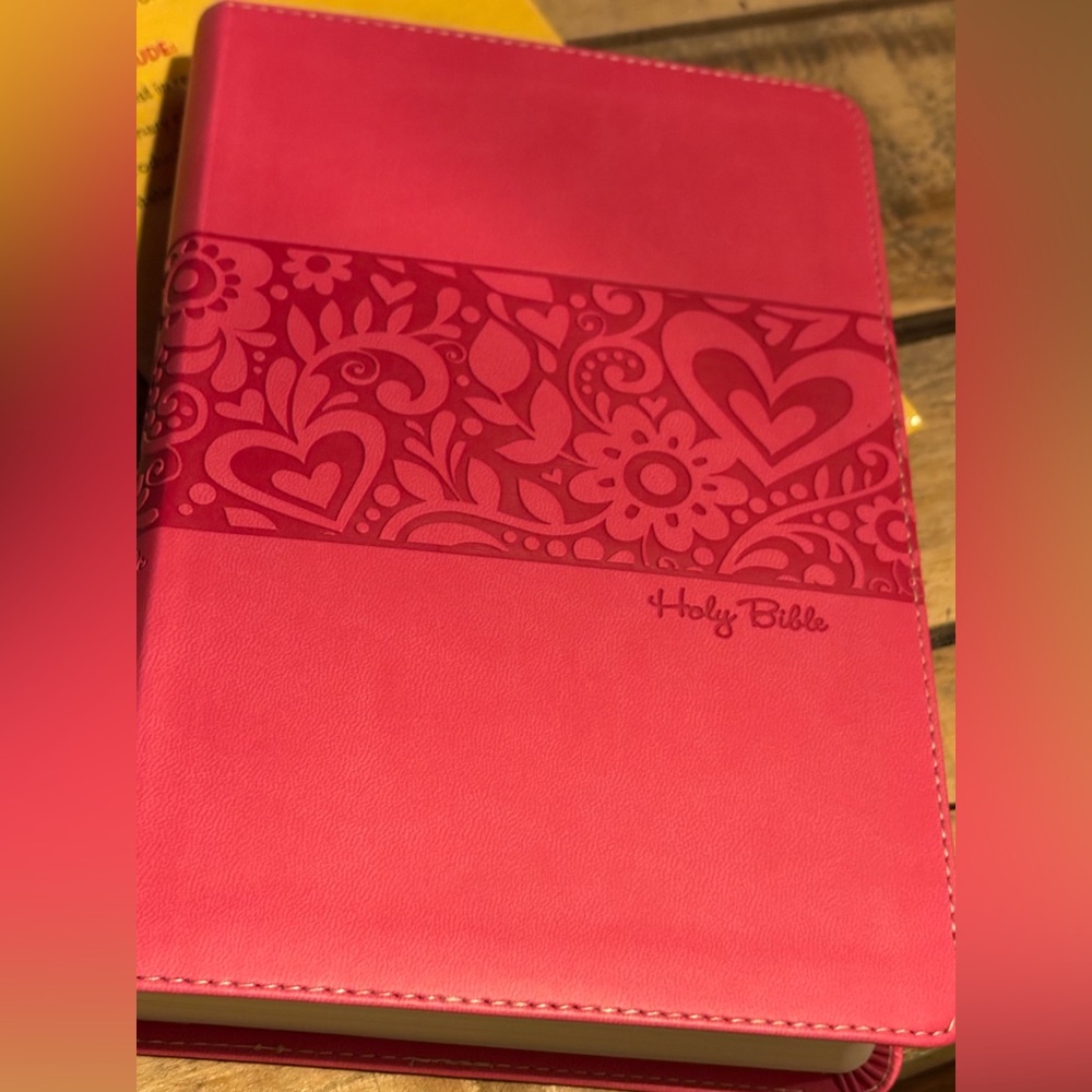 ⭐️NIV Gift Bible⭐️ NEW in sleeve